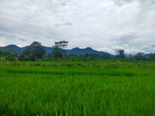 KAPLING PERUMAHAN BOGOR - Image 2