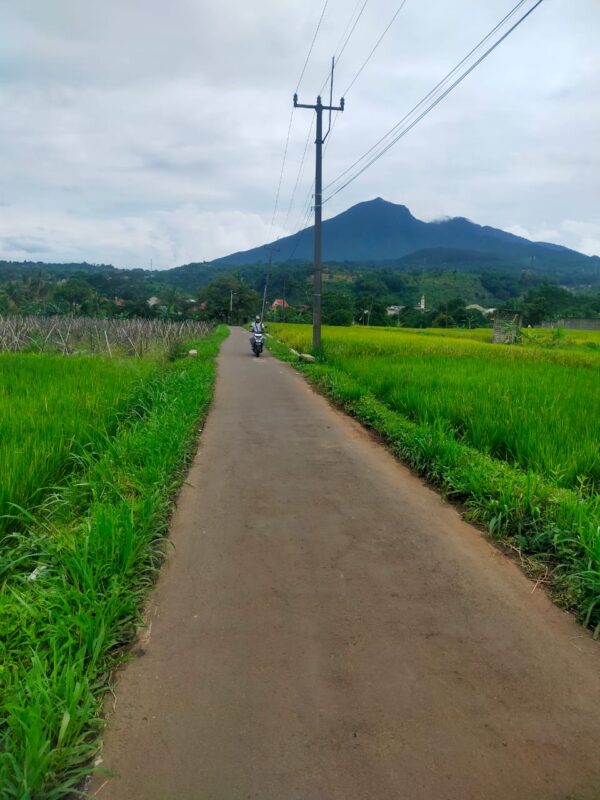 KAPLING PERUMAHAN BOGOR - Image 3