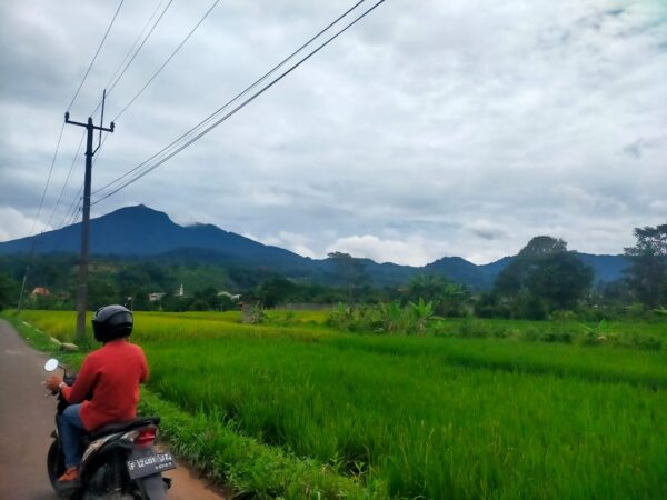KAPLING PERUMAHAN BOGOR - Image 4
